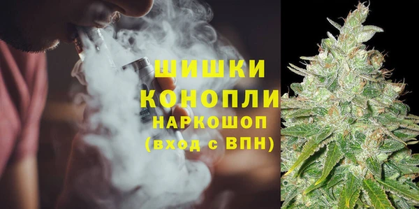прущие грибы Киреевск