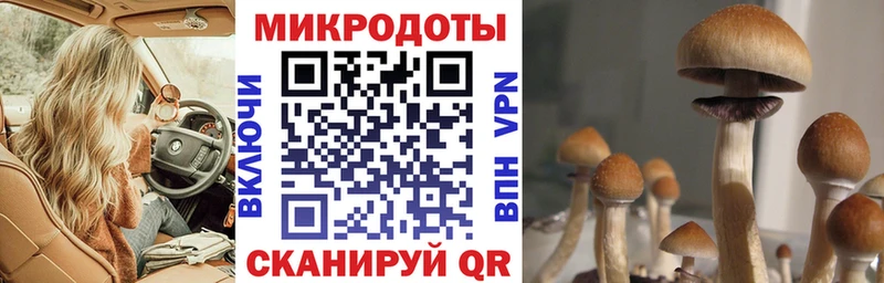 где купить наркоту  Кремёнки  Псилоцибиновые грибы GOLDEN TEACHER 